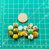 Small Mixed Round Mixed Turquoise, Set of 14 Dimensions