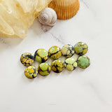 Small Mixed Round Mixed Turquoise, Set of 10 Background