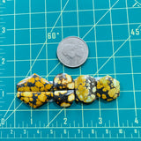 Medium Royal Orange Mixed Treasure Mountain Turquoise, Set of 6 Dimensions