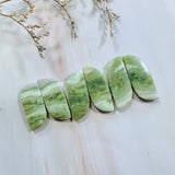 Medium Lime Green Freeform Green Serpentine Serpentine, Set of 6 Background