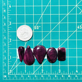 Large Purple Mixed Spiny Oyster, Set of 5 Dimensions