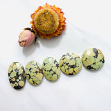 Large Royal Orange Mixed Treasure Mountain Turquoise, Set of 5 Background