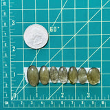 Medium Swamp Green Oval Rosarita, Set of 7 Dimensions