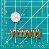 Small Swamp Green Oval Rosarita, Set of 7 Dimensions