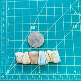 Medium Sky Blue Petal Royston Turquoise, Set of 6 Dimensions