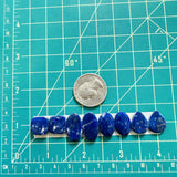 Small Deep Blue Mixed Lapis Lazuli, Set of 8 Dimensions