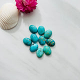 12x16mm Oval Carico Lake, Set of 1