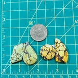 Large Mixed Freeform Mixed Turquoise, Set of 4 Dimensions