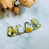 Medium Mixed Petal Treasure Mountain Turquoise, Set of 4 Background