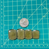 Large Swamp Green Barrel Rosarita, Set of 4 Dimensions
