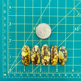 Large Royal Orange Surfboard Treasure Mountain Turquoise, Set of 5 Dimensions