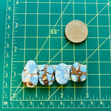 Medium Sky Blue Freeform Golden Hills Turquoise, Set of 4 Dimensions