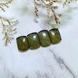 Small Swamp Green Barrel Rosarita, Set of 4 Background