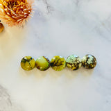 Medium Pale Brown Round Treasure Mountain Turquoise, Set of 5 Background