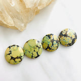 Medium Royal Orange Round Treasure Mountain Turquoise, Set of 4 Background