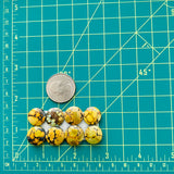 Medium Royal Orange Round Treasure Mountain Turquoise, Set of 8 Dimensions