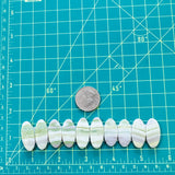 Medium Lime Green Oval Green Serpentine Serpentine, Set of 10 Dimensions