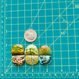 Large Mixed Half Moon Mixed Turquoise, Set of 6 Dimensions