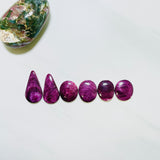 Large Purple Mixed Spiny Oyster, Set of 6 Background