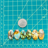 Large Mixed Oval Mixed Turquoise, Set of 6 Dimensions