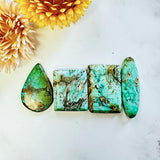 Large Mint Green Mixed Crescent Lake Variscite, Set of 4 Background