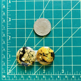 Large Earth Brown Round Treasure Mountain Turquoise, Set of 2 Dimensions