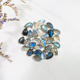 5x8mm Teardrop Labradorite, Set of 20