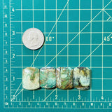 Large Sea Green Barrel Crescent Lake Variscite, Set of 4 Dimensions