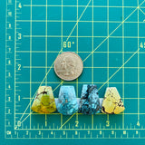 Large Mixed Freeform Mixed Turquoise, Set of 4 Dimensions