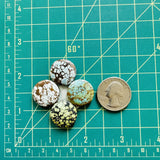 Medium Mixed Round Mixed Turquoise, Set of 4 Dimensions
