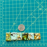 Large Mixed Bar Mixed Turquoise, Set of 6 Dimensions