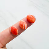 10x14mm Oval Spiny Oyster, Set of 2