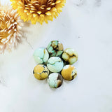 Small Mixed Round Treasure Mountain Turquoise, Set of 7 Background