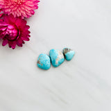 Medium Sky Blue Freeform Carico Lake Turquoise, Set of 3 Background