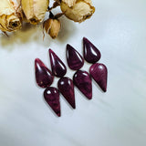 Large Purple Teardrop Spiny Oyster, Set of 8 Background