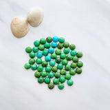 8x8mm Round Sonoran Gold Turquoise Cabochons, Set of 2