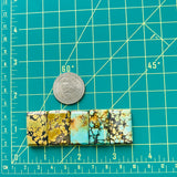 Large Mixed Bar Mixed Turquoise, Set of 5 Dimensions