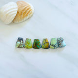 Medium Mixed Freeform Mixed Turquoise, Set of 6 Background