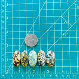 Large Mixed Oval Mixed Turquoise, Set of 5 Dimensions