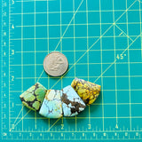 Large Mixed Freeform Mixed Turquoise, Set of 4 Dimensions