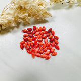 3x5mm Teardrop Spiny Oyster, Set of 10