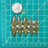 Medium Swamp Green Teardrop Rosarita, Set of 10 Dimensions