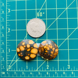 Large Royal Orange Round Treasure Mountain Turquoise, Set of 2 Dimensions