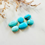 Medium  Sky Blue Freeform Sleeping Beauty Turquoise, Set of 6 Background