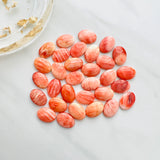 10x14mm Oval Spiny Oyster, Set of 2