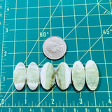 Large Lime Green Oval Green Serpentine Serpentine, Set of 6 Dimensions
