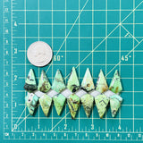 Large Sea Green Shield Yungai Turquoise, Set of 14 Dimensions