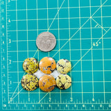 Medium Royal Orange Round Treasure Mountain Turquoise, Set of 6 Dimensions