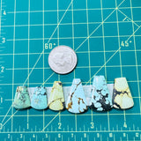 Large Mixed Petal Mixed Turquoise, Set of 6 Dimensions