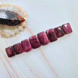 Medium Purple Bar Spiny Oyster, Set of 8 Background